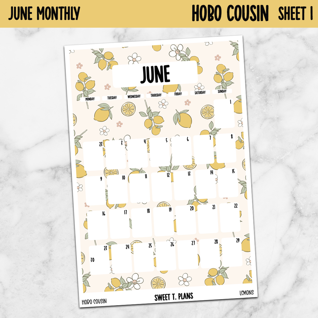 June Monthly Lemons Jumbo Sticker A5w A5 B6 Hobonichi Cousin