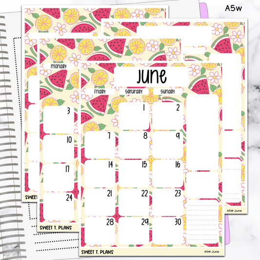 June Watermelon and Lemons Monthly Jumbo Sticker Full Sheet A5w A5 B6 Hobonichi Cousin